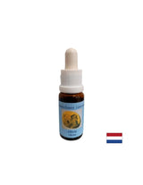 Spodbuja srce in sončno pleksus chakras št. 9 - Olivina Essence, spusti 15 ml