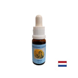 Spodbuja srce in sončno pleksus chakras št. 9 - Olivina Essence, spusti 15 ml