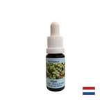 Stimulira samozdravljenje - alge Essence št. 1, pade 15 ml
