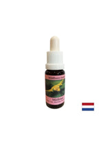 Stimulira zavestne spremembe - Essence White Mistletoe št. 12, pade 15 ml