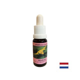 Stimulira zavestne spremembe - Essence White Mistletoe št. 12, pade 15 ml