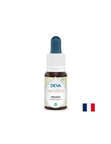 Strah in negotovost - Janka, Bach Drops, 15 ml