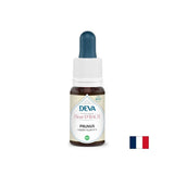 Strah in negotovost - Janka, Bach Drops, 15 ml