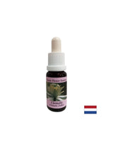 Notranji svet povezuje z resničnostjo - Essence Povet št. 9, spusti 15 ml