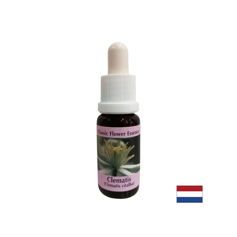 Notranji svet povezuje z resničnostjo - Essence Povet št. 9, spusti 15 ml