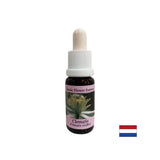 Notranji svet povezuje z resničnostjo - Essence Povet št. 9, spusti 15 ml