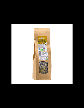 Pumpkin seeds (raw) - Plantis®, BIO, 250 g - Nutra Best Europe