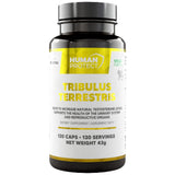 Tribulus Terrestris 204 mg | z 98% saponinov - 120 kapsul