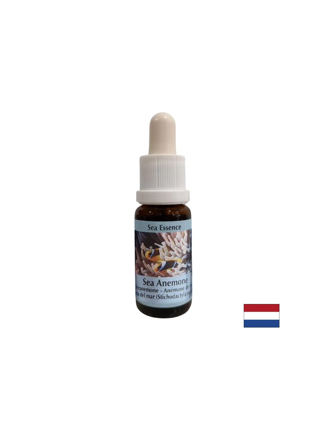 Krepi kohezijo in jasnost pri izbiri partnerja - Sea Anemone Essence št. 6, spusti 15 ml