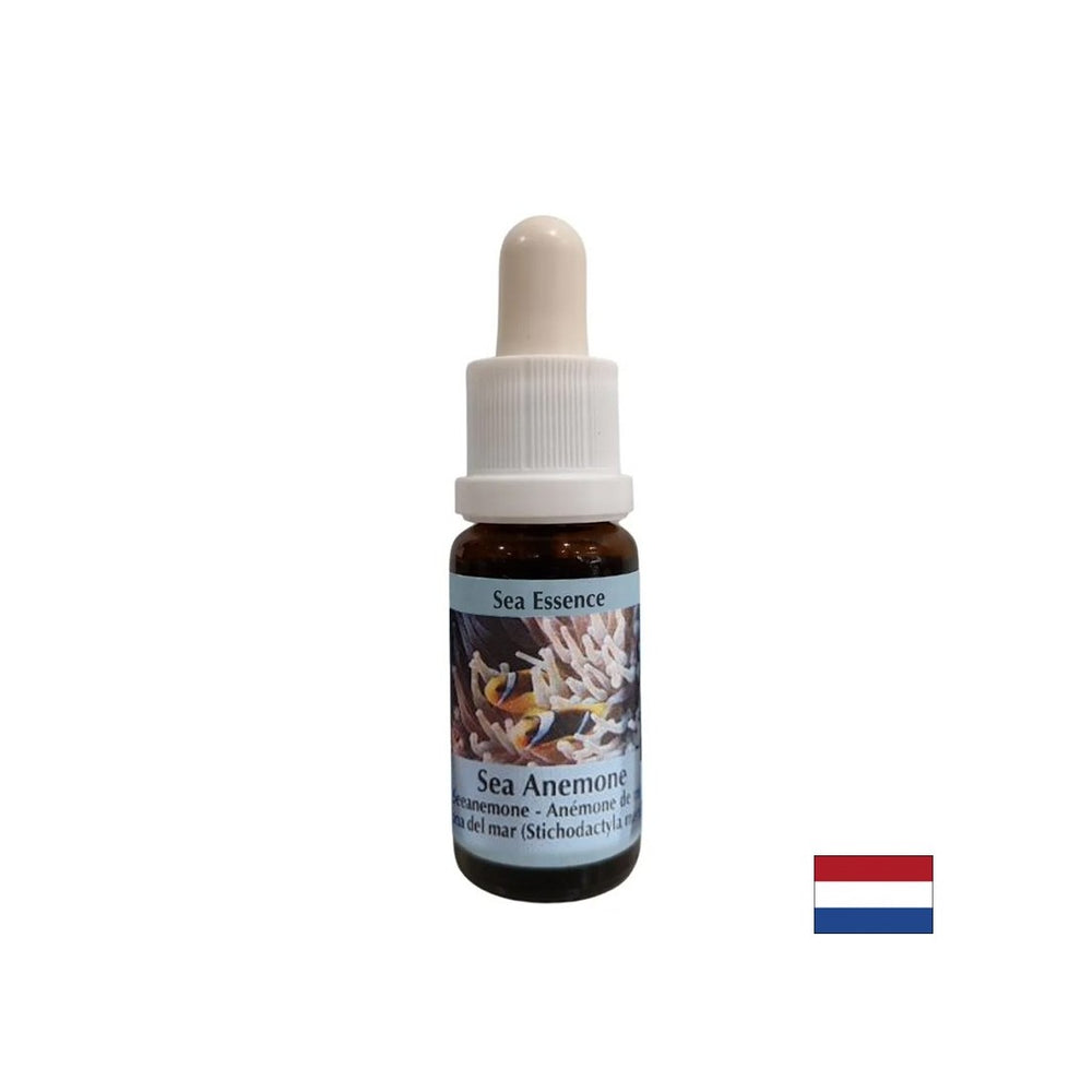 Krepi kohezijo in jasnost pri izbiri partnerja - Sea Anemone Essence št. 6, spusti 15 ml