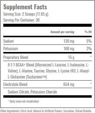 Sodobni BCAA Plus - 535 gramov