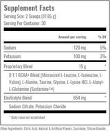 Sodobni BCAA Plus - 535 gramov