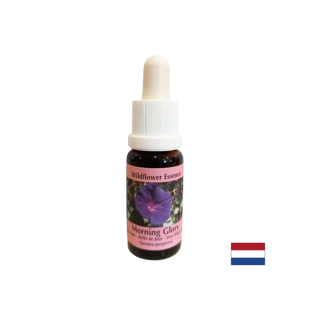Pomiri tesnobo in izkorenini negativne navade - gramofon Essence št. 34, pade 15 ml