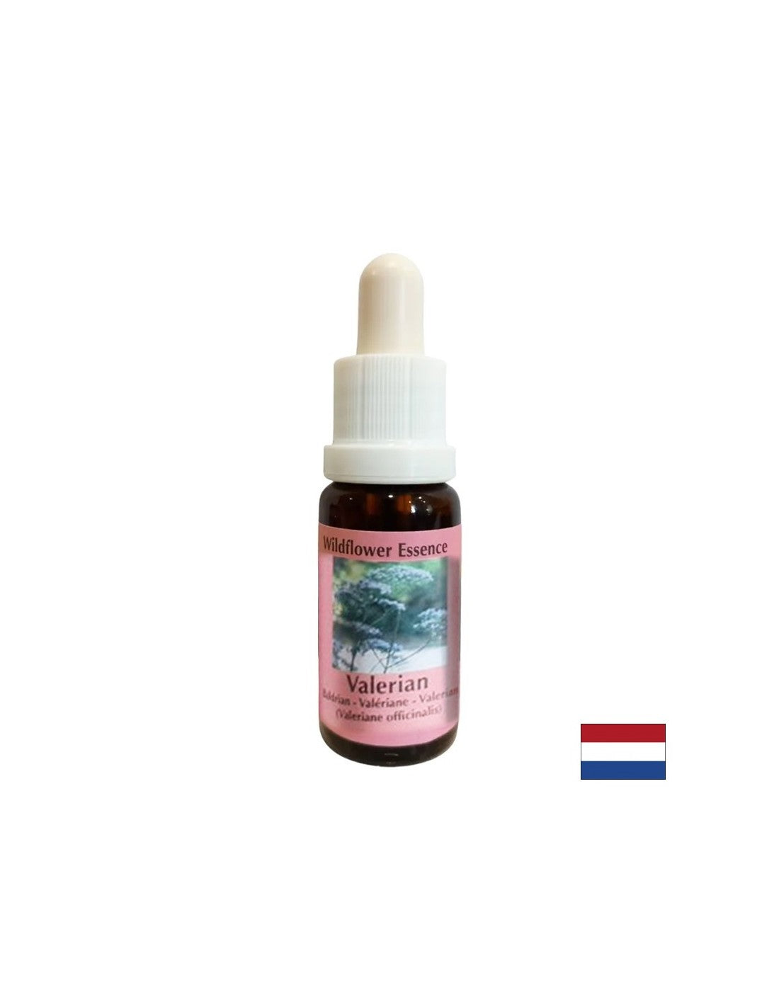 Pomiri telo in duh, pomaga proti nespečnosti in stresu - Valerian Essence št. 21, spusti 15 ml