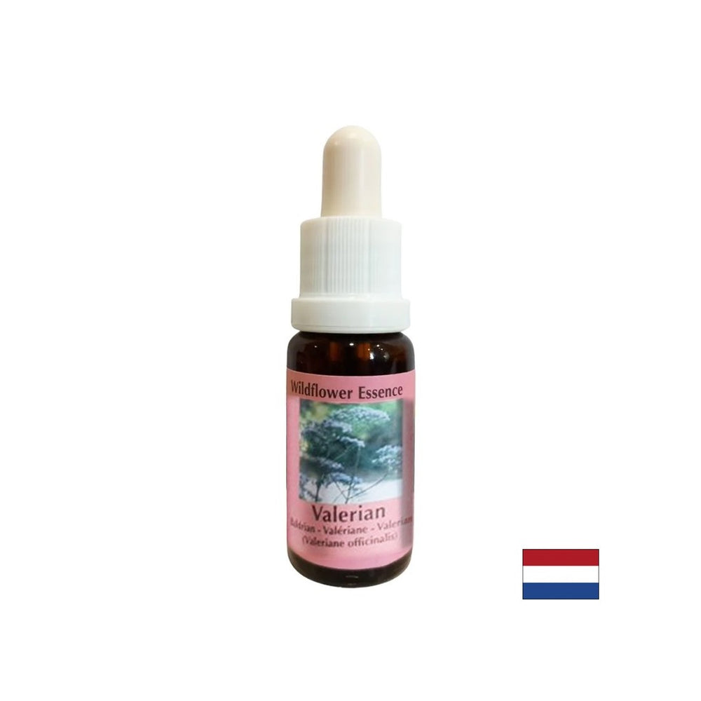 Pomiri telo in duh, pomaga proti nespečnosti in stresu - Valerian Essence št. 21, spusti 15 ml