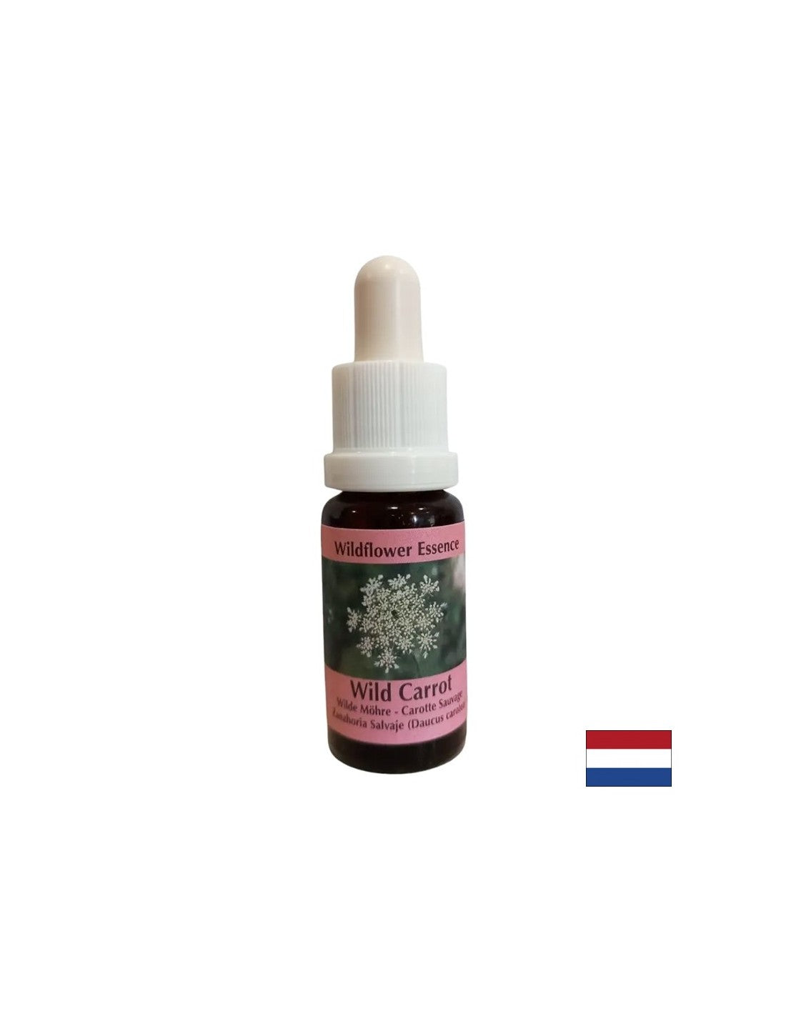 Pomiri um - divji korenčkov bistvo, spusti 15 ml