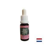 Pomiri um - divji korenčkov bistvo, spusti 15 ml
