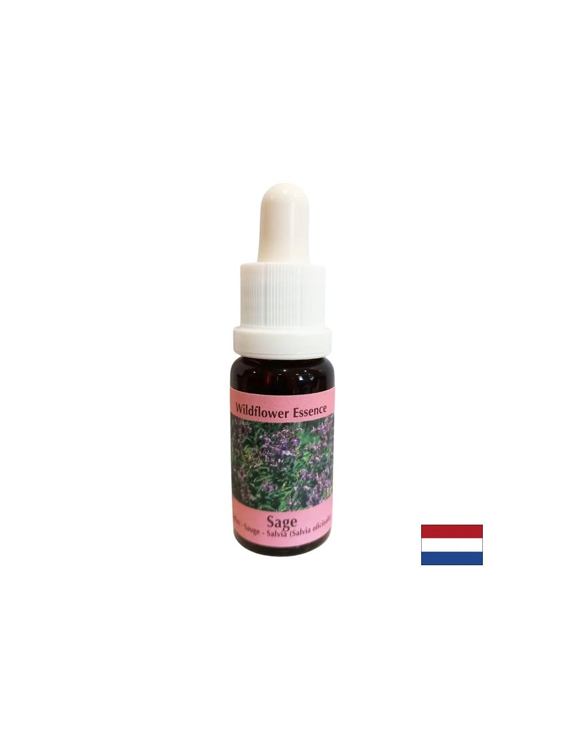 Obnavlja ritem in podpira prilagajanje - žajbelj Essence št. 36, pade 15 ml