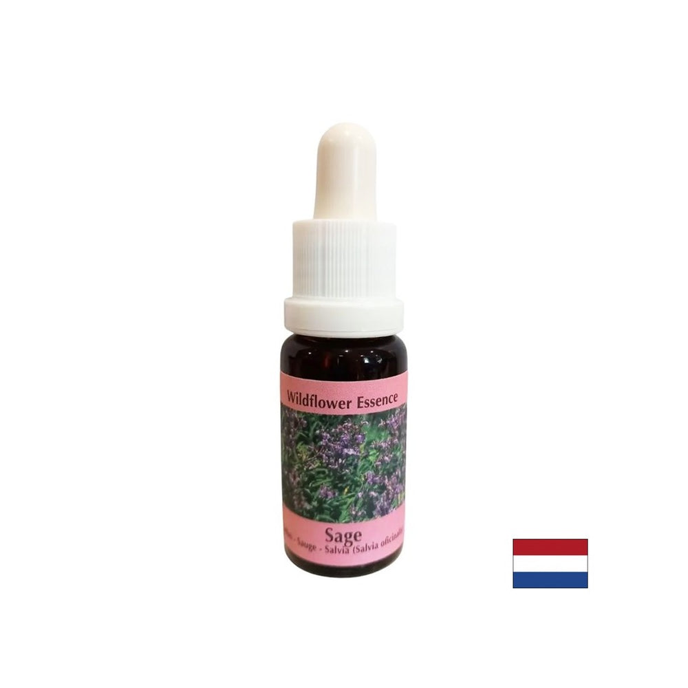 Obnavlja ritem in podpira prilagajanje - žajbelj Essence št. 36, pade 15 ml