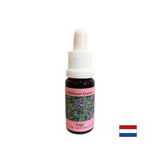 Obnavlja ritem in podpira prilagajanje - žajbelj Essence št. 36, pade 15 ml