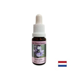 Za ravnovesje in mirnost - Verbena Essence št. 31, pade 15 ml