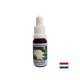 Za duhovno zavedanje - Victoria Regia Essence št. 20, 15 ml kapljic