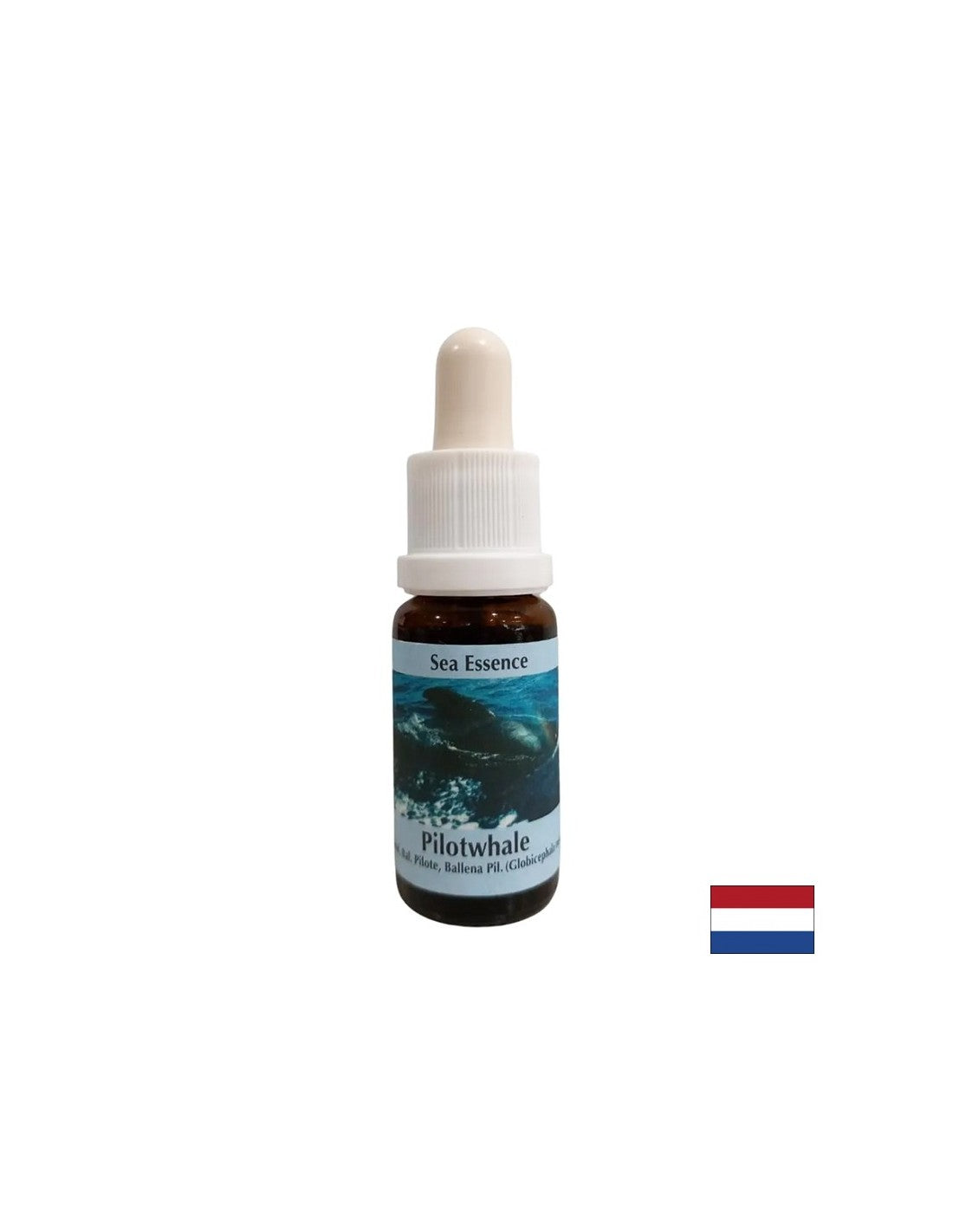 Za meditacijo - Essence Black Grind št. 10, pade 15 ml