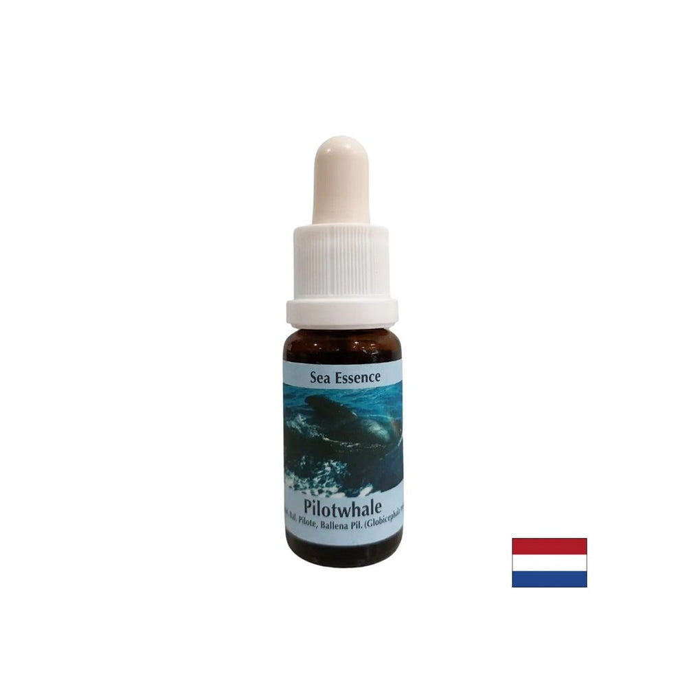 Za meditacijo - Essence Black Grind št. 10, pade 15 ml