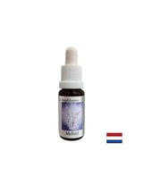 Za iskanje pravih besed - Essence Mechiel (Angel Essence št. 16), pade 15 ml