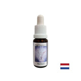 Za iskanje pravih besed - Essence Mechiel (Angel Essence št. 16), pade 15 ml