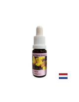 Za nov začetek - Essence Preshtip št. 13, pade 15 ml