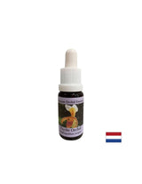 Za prepoznavanje vitalnih nalog - orhideja Essence Psyche št. 17, pade 15 ml