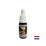 Za prepoznavanje vitalnih nalog - orhideja Essence Psyche št. 17, pade 15 ml
