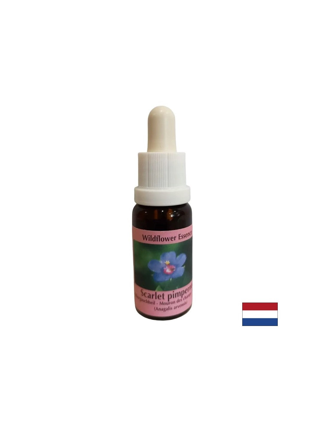 Za samoodkrivanje in integracijo - Essence Polish Fireweed št. 21, pade 15 ml