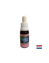 Za samoodkrivanje in integracijo - Essence Polish Fireweed št. 21, pade 15 ml