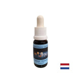 Izboljša ozaveščenost - Diamond Essence št. 5, pade 15 ml